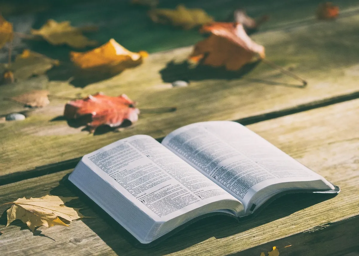 A Beginner's Guide to British Nature Writing: 10 Essential Books to Start With
