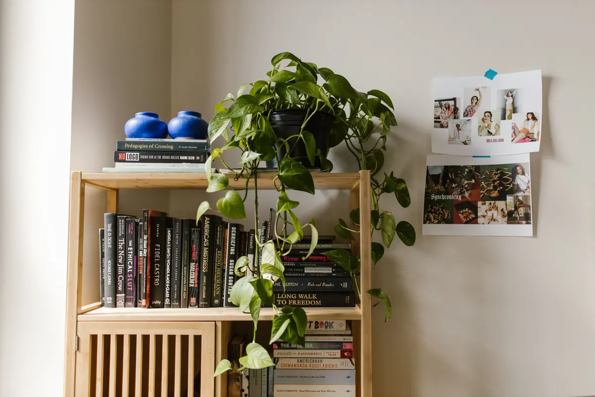 A Checklist for Building a Home Library on a Budget in a Small Flat